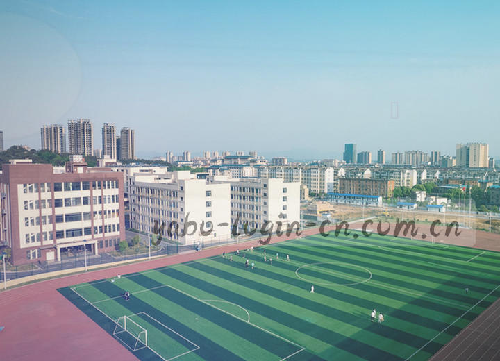 精密计时仪表盘捕捉扣篮瞬间滞空数据